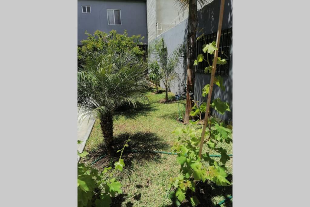 Departamento Las Palmas ロサリト エクステリア 写真