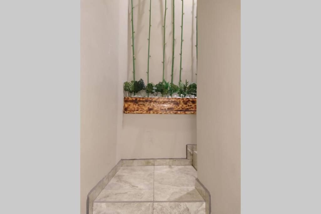 Departamento Las Palmas ロサリト エクステリア 写真